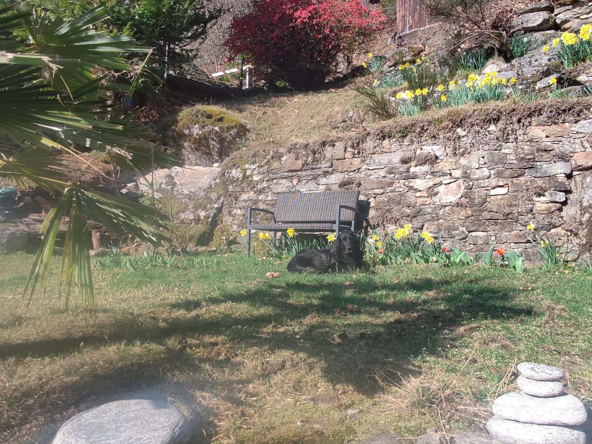 Oasis Di Riposa Villa Semione Eksteriør bilde